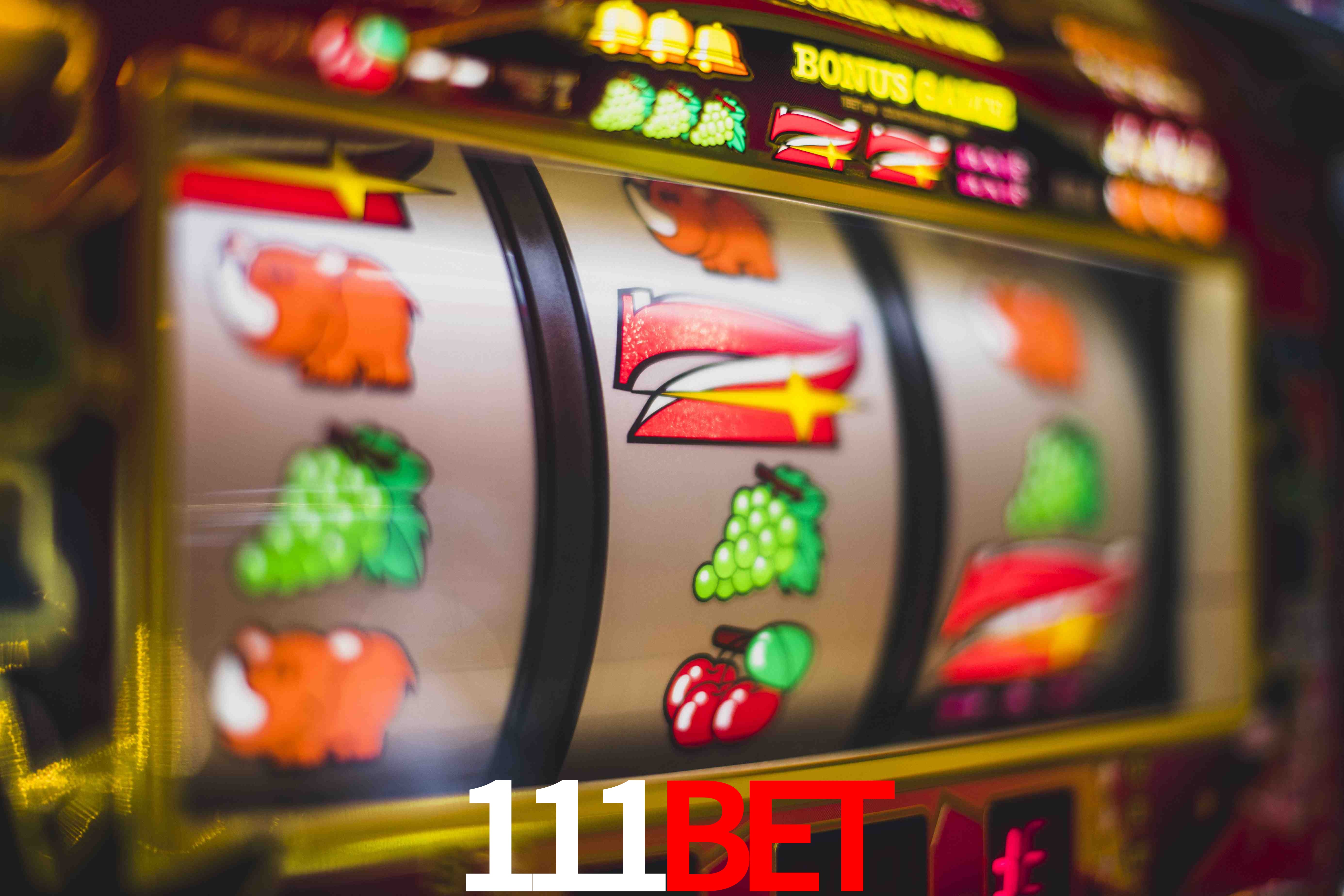 Experiência VIP 111bet